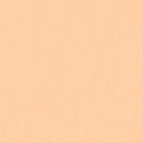 papel tapiz as creation coleccion bjorn 353122